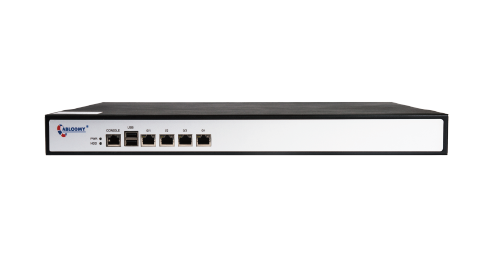 SD-WAN Gateway VSM1000